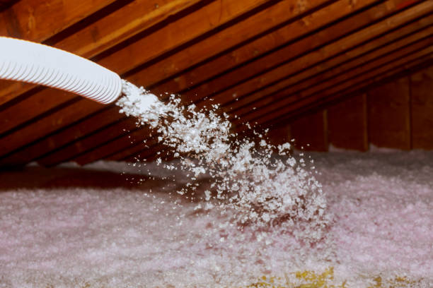 Best Fiberglass Insulation in Newberry, FL