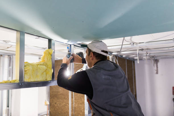Best DIY Insulation Kits and Guidance in Newberry, FL