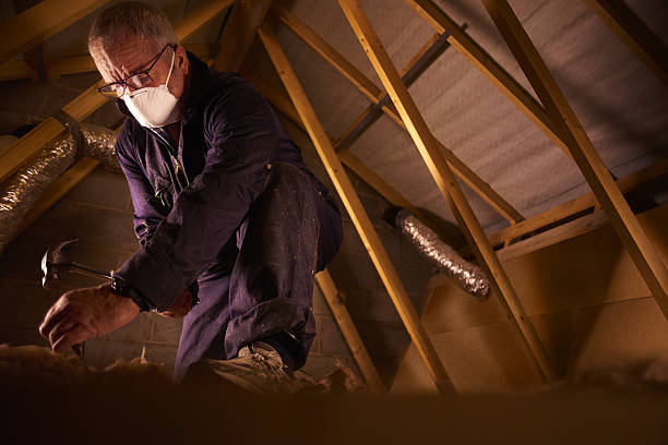 Types of Insulation We Offer in Newberry, FL